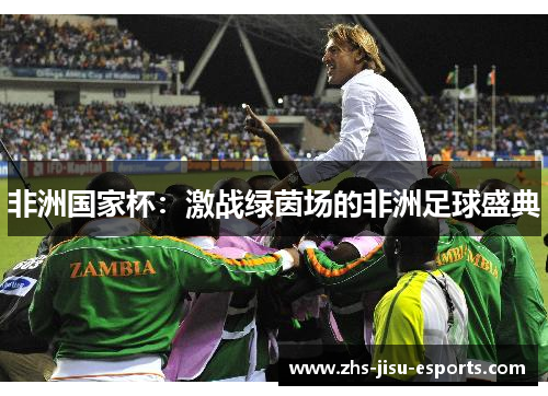 非洲国家杯：激战绿茵场的非洲足球盛典